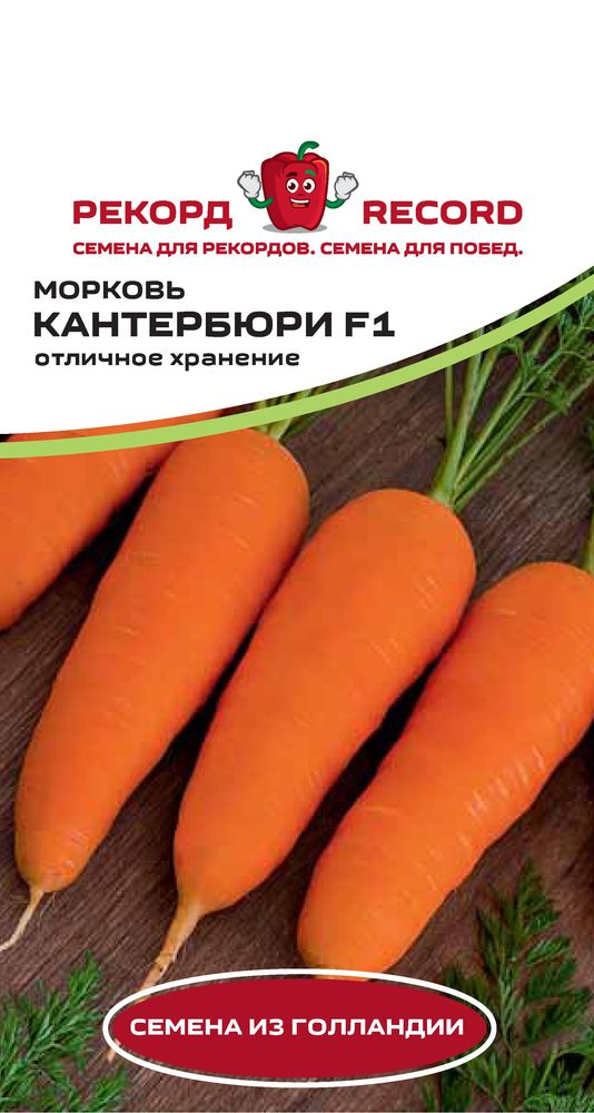 Купить Голландские Семена Овощей В Интернет Магазине