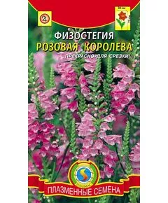 Физостегия "Плазмас" Розовая Королева 10 сем, фото 