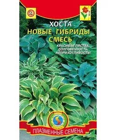 Хоста "Плазмас" Новые гибриды смесь 3 сем, фото 