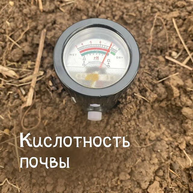 Блог Onsad.ru :: КИСЛОТНОСТЬ ПОЧВЫ - Купить семена почтой в интернет ...