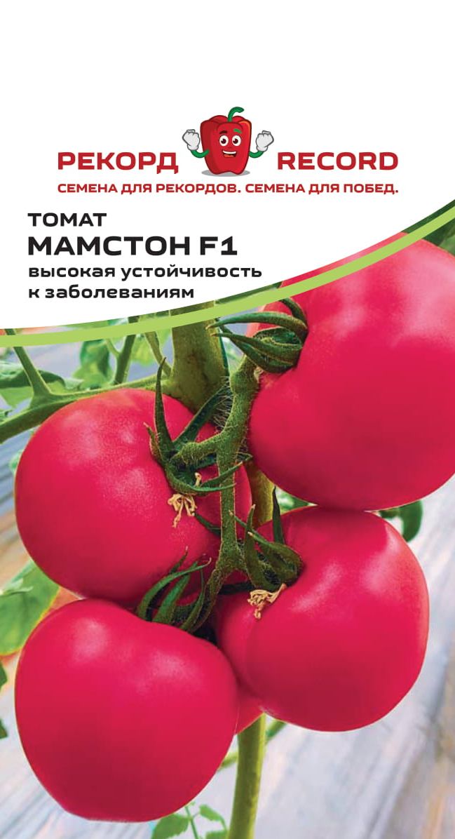 Томат Викуся Фото Характеристика Отзывы