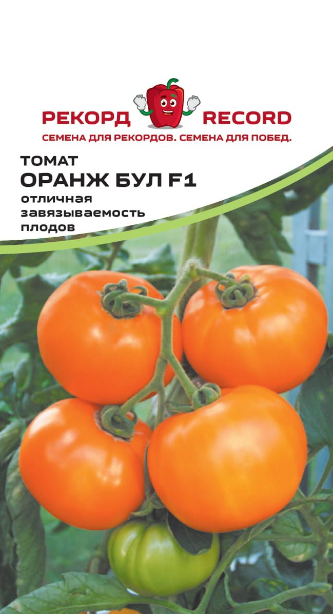 Томаты Оранж Отзывы Фото