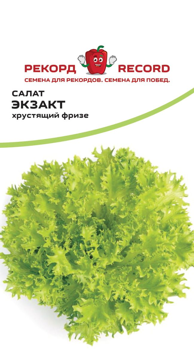 Салат Экзакт Купить Семена