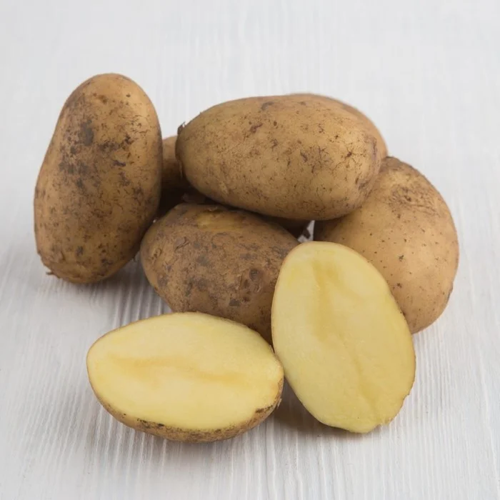 Какие семена картошки. Картофель семенной Гала элита. Семенной картофель. Сорт Гала. Картофель Лорх. Картофель семенной юбилей Жукова.