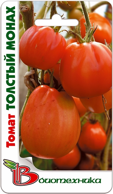 Толстой семена томат. Томат Мамонтенок семена Алтая. Томаты Биотехника. Биотехника семена томатов. Томат Бомбей 15шт Биотехника.