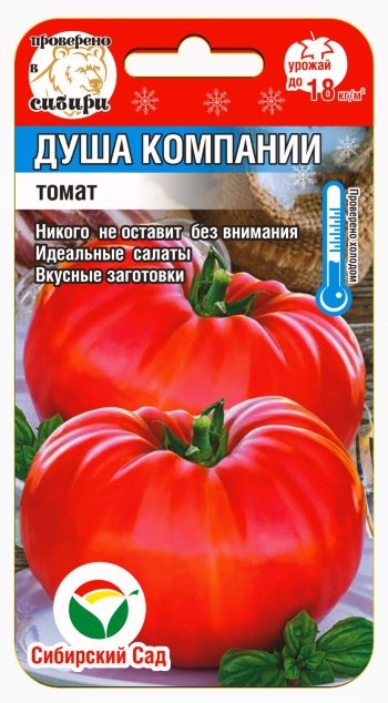Томат Звезда Сибири Отзывы Фото Урожайность
