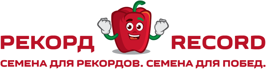 Рекорд Рекорд